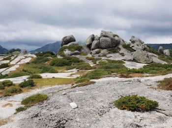 Trail Walking Zicavo - Corse - Boucle de l'aconit depuis Bergerie de Basseta - Photo