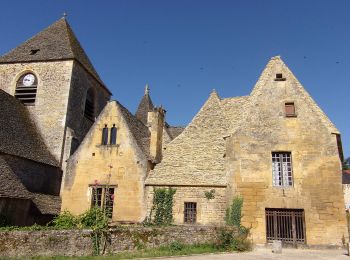 Trail On foot Saint-Geniès - Boucle des Moulins - Photo