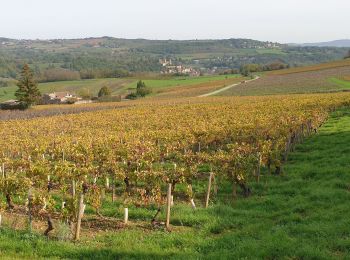 Tour Wandern Chessy - Chessy - Carrières de Gray - Photo