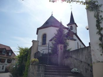 Percorso A piedi Bockenau - DVV Durch die Bockenauer Schweiz 2 - Photo