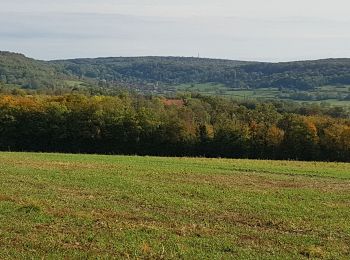 Tocht Stappen Montigny-lès-Vesoul - montigny jm - Photo