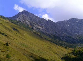 Tour Zu Fuß Gemeinde Berwang - 103 Berwang - Älple - Hönig - Photo