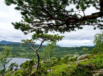 Tour Zu Fuß  - Preikestolen - Photo