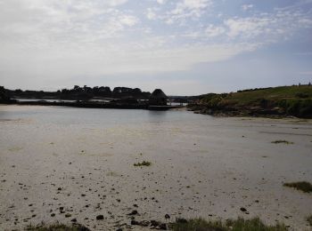 Trail Walking Île-de-Bréhat - ile de Bréhat - Photo