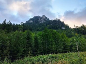 Randonnée A pied Schwangau - Naturpfad Ahornreitweg - Photo