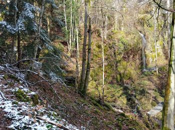 Randonnée Marche Soultz-Haut-Rhin - Wuenheim -  Kohlschlag  (18/03/2021) - Photo