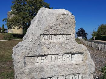 Trail Walking Saint-André-de-Cubzac - Campagne St André - Plagne / Chateau du Bouilh - Photo