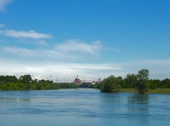 Tour Zu Fuß Pavia - Pavia-Ponte della Becca (Greenway) - Photo