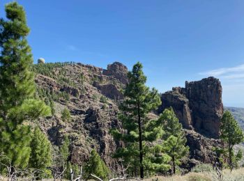 Percorso Marcia Tejeda - Pico de las Nieves (Gran Canaria) - Photo