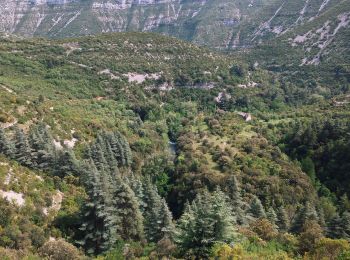 Excursión A pie Blandas - Randonnée Cirque de Navacelles - Causse de Blandas - Vissec - Moulin de la Foux - Photo