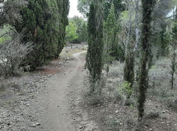 Tour Wandern Leucate - leucatr courte - Photo