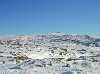 Tocht Te voet Loriga - Rota da Garganta de Loriga - Photo