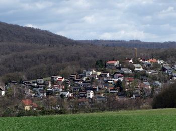 Excursión A pie Bürgerwald - Rundweg Michelau M6 - Photo