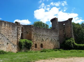 Percorso Marcia Chevreuse - 210527 chateau de la Madeleine - Photo