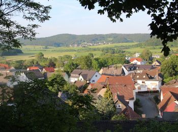 Percorso A piedi Bad Endbach - Extratour Steinperfer Runde - Photo