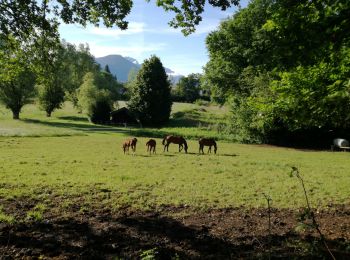 Trail Walking Épagny Metz-Tessy - EPAGNY & PROMERY & MANDALLAZ N°2 - Photo