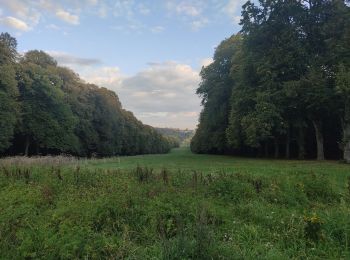 Tour Wandern Clamart - Meudon châtaignes  - Photo