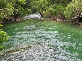 Tocht Stappen Saint-Cézaire-sur-Siagne - Le canal et la rivière de la Siagne  - Photo