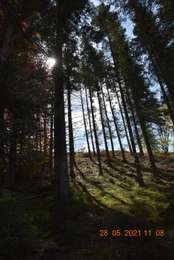 Trail Walking Jalhay - 20210528 - Charneux 6.75 Km - Photo