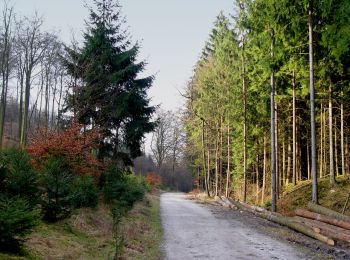 Randonnée A pied Oerlinghausen - Rundwanderweg Oerlinghausen A4 - Photo