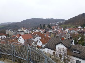 Randonnée A pied Lindenfels - Rundwanderweg Lindenfels 5: Schlierbach-Weg - Photo