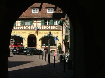 Tour Zu Fuß Tettnang - Tettnanger Hopfenpfad - Photo