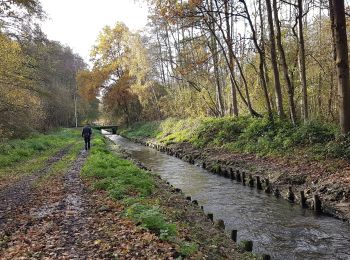 Randonnée Marche Diepenbeek - Diepenbeek  - Photo