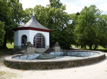 Randonnée A pied Saalfeld/Saale - Rundwanderweg Südstadt - Photo