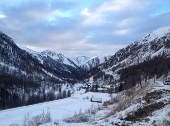 Tocht Te voet Isola - Tête Mercière - Photo