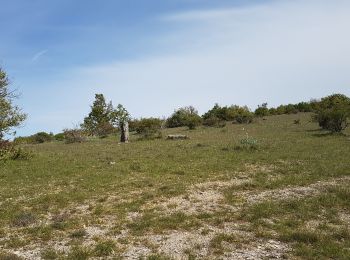 Excursión Marcha nórdica Saint-Pierre-de-la-Fage - St Pierre de la Fage La Vacquerie Le Causse - Photo