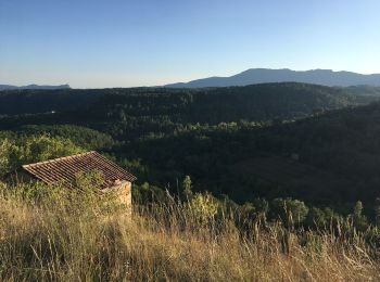 Trail Walking Saint-Pierre-Saint-Jean - Pujol  - Photo