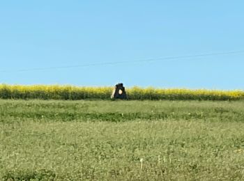 Tour Wandern Traves - Pierres percées aroz  - Photo