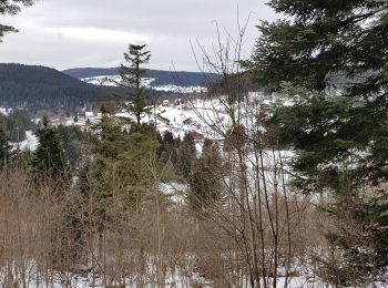 Randonnée Raquettes à neige Gérardmer - herardmer 1 - Photo