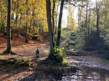 Tocht Stappen Luik - Colonster parc forêt université  - Photo