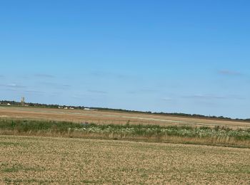 Tocht Paardrijden Ury - Balade entre ury et recloses  - Photo