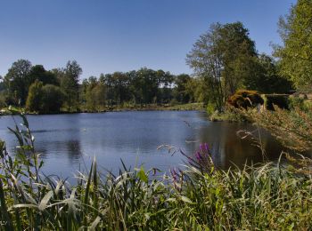 Percorso Marcia Tourouvre au Perche - [Itinéraire] Parcours de découverte de la Réserve de Bresolettes - Photo