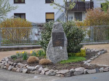 Percorso A piedi Reichelsheim (Odenwald) - Rundwanderweg G 1: Schnellerts-Weg - Photo