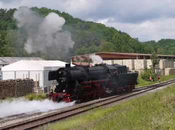 Randonnée A pied Bundenthal - Jüngstberg-Tour - Photo