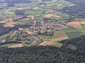 Tour Zu Fuß Homberg - Lochbachpfad - Photo