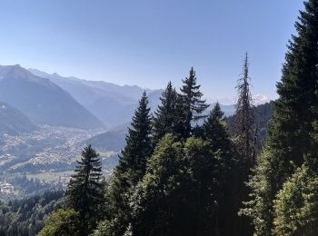 Tour Wandern Saint-Jean-d'Aulps - Joranloup par télécabine  - Photo