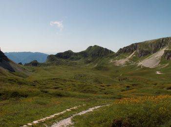 Tour Zu Fuß Feltre - Sentiero C.A.I. 816 - Photo