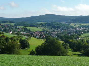 Trail On foot Abtsteinach - Rundwanderweg Abtsteinach 6: Steinbruchweg - Photo