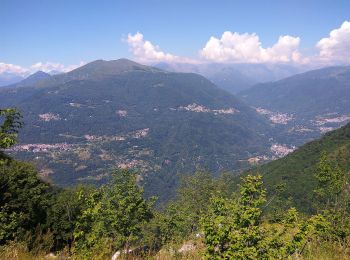 Excursión A pie Grandola ed Uniti - (SI D13N) Grandola e Uniti (Frazione Cardano) - Garzeno Germasino - Photo