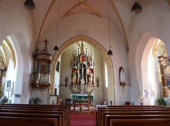 Tour Zu Fuß Gemeinde Rappottenstein - Klangburgweg 10 - Photo