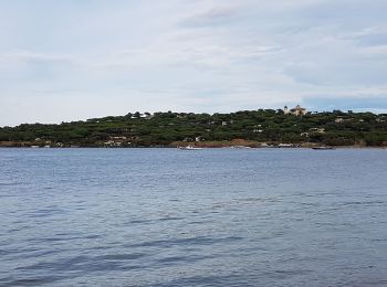 Tocht Stappen Saint-Tropez - PRESQU'ÎLE DE SAINT TROPEZ - Photo