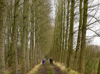 Tocht Te voet Sint-Niklaas - Fondatie van Boudeloroute - Photo