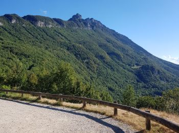 Excursión Bici de carretera Bourdeau - dent duchat - Photo