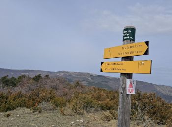 Tocht Stappen Val-Buëch-Méouge - Pic de Saint-Cyr - Photo