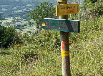 Trail Walking Saint-Jean-Pied-de-Port - Balade à pied vignes Ispoure - Photo