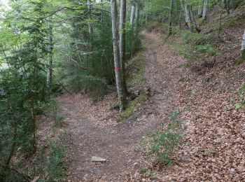 Tocht Stappen Châtillon-en-Diois - Circuit des Baumes - Pont de vachères-Soubreroche - Boulc - Photo